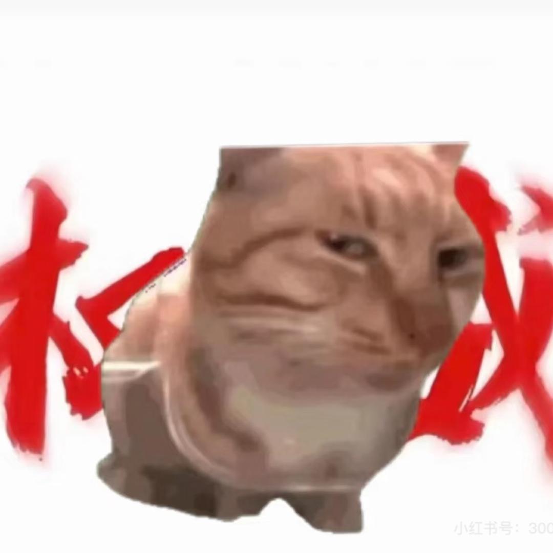 小喵喵。