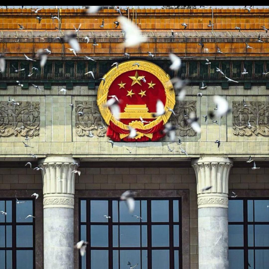 寻梦者🦋
