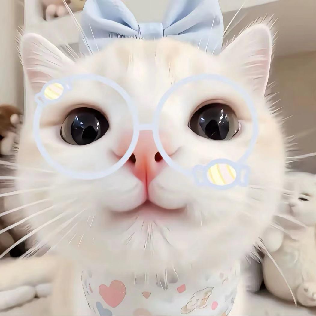 喵喵魚🐟(壁纸)