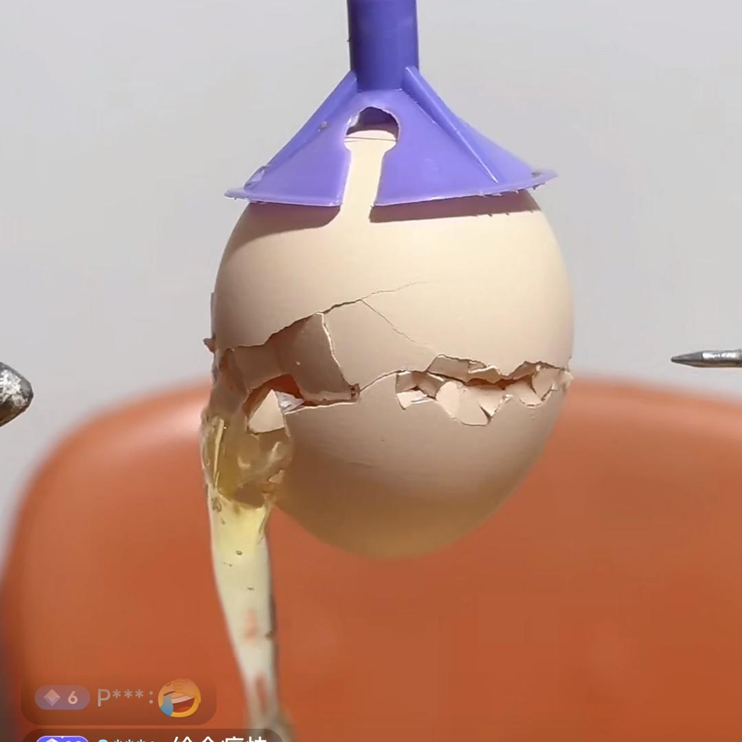 与你同行