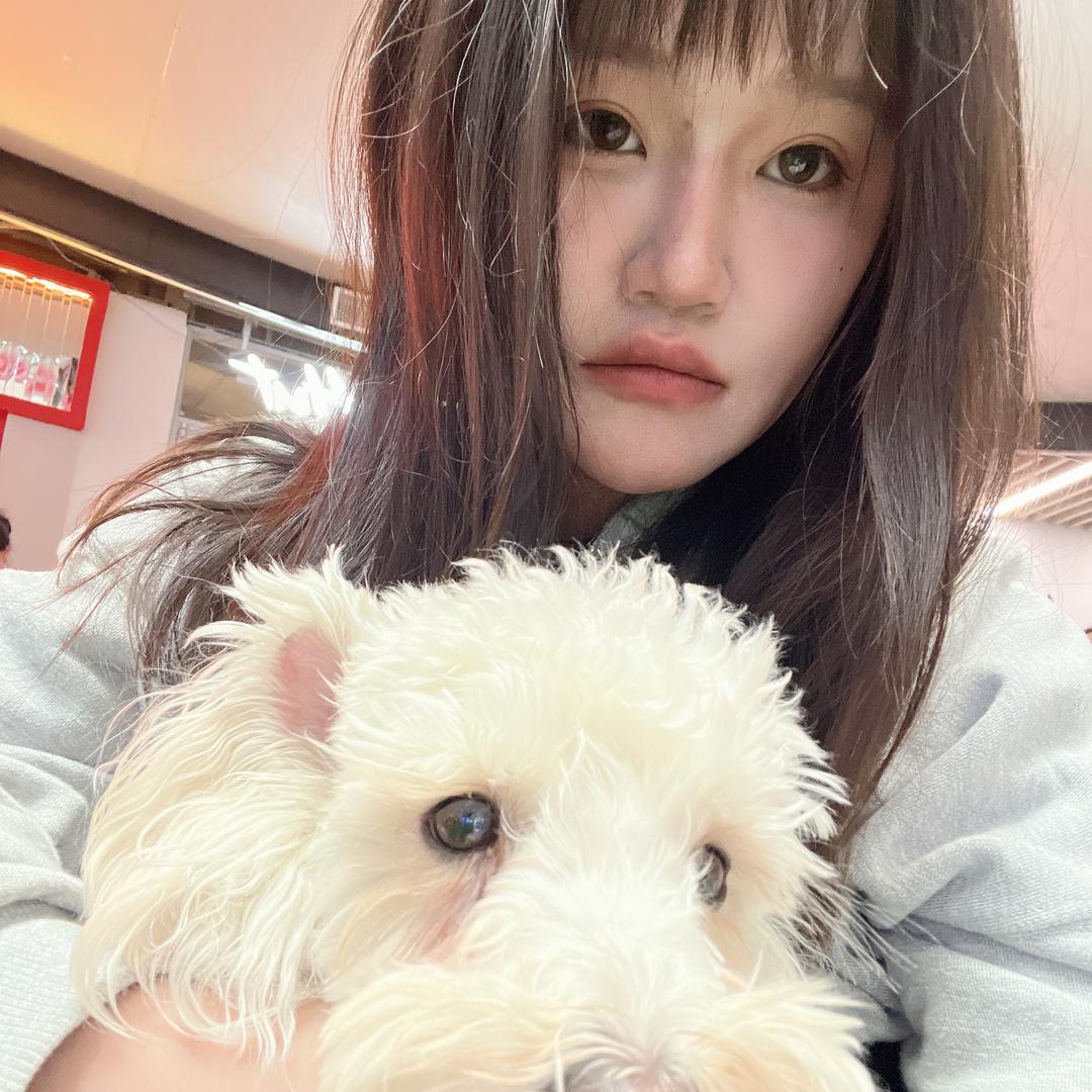 是我露露🐰