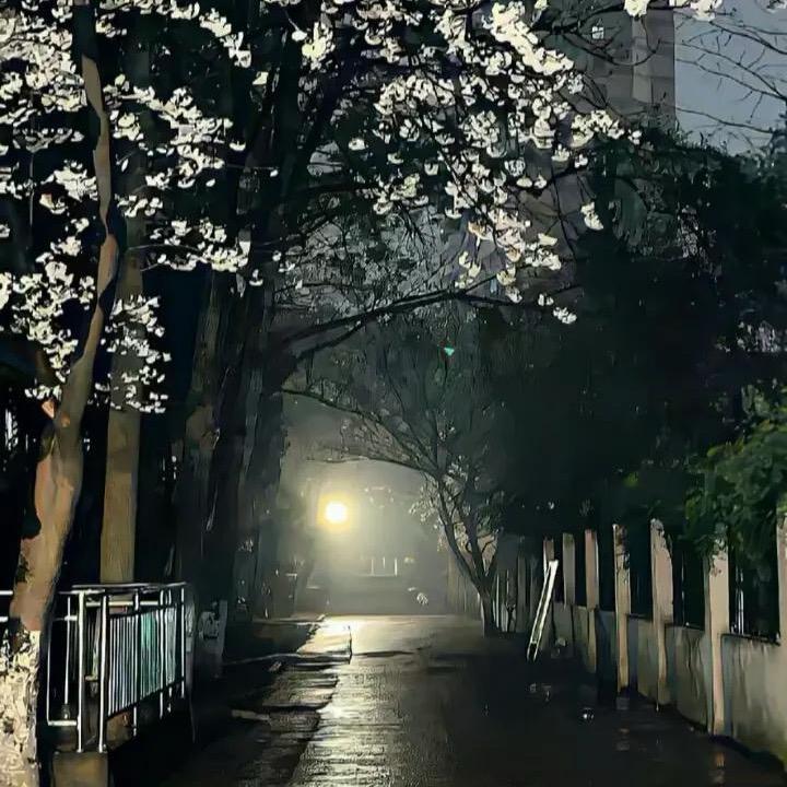 嗨嗨嗨