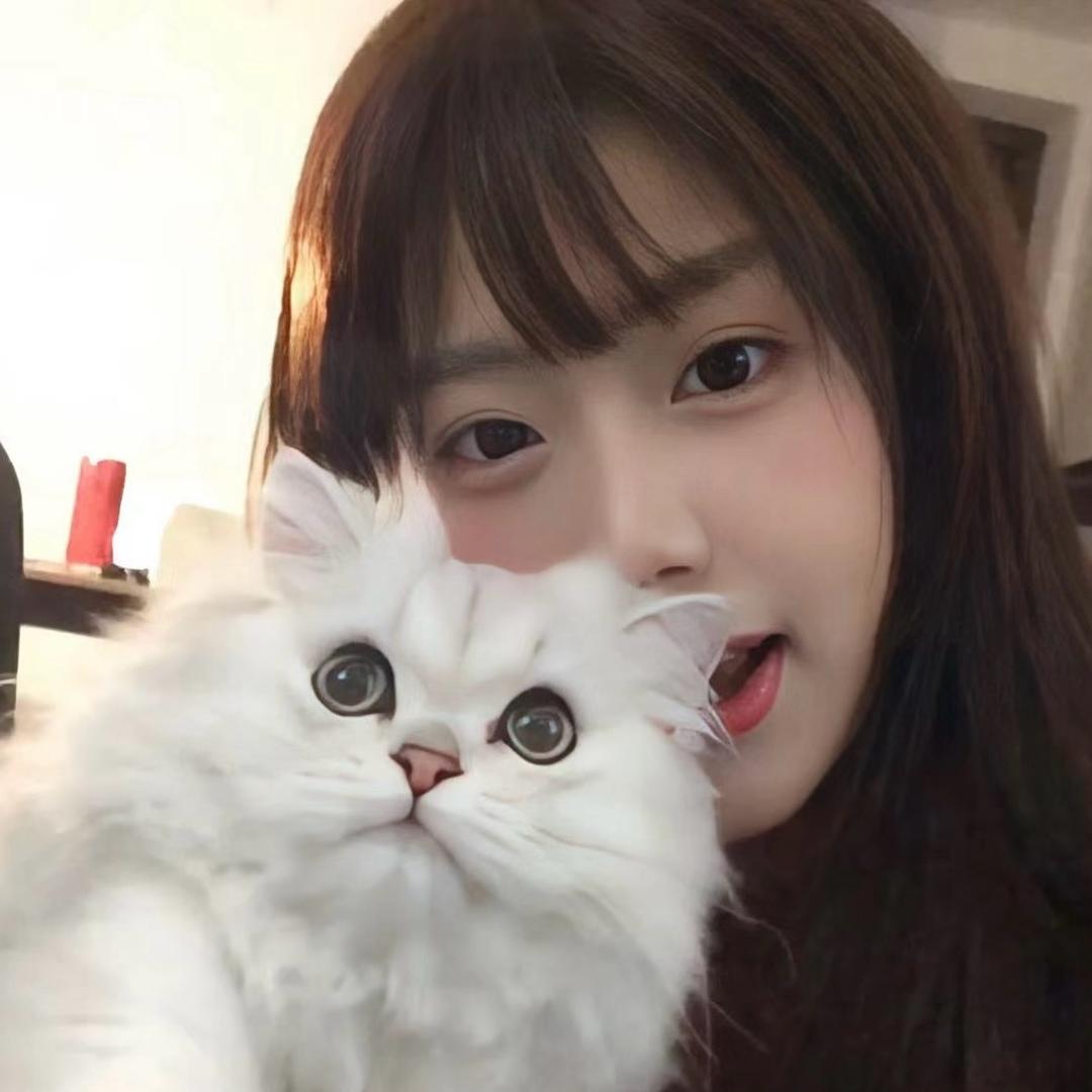 糕冷小猫