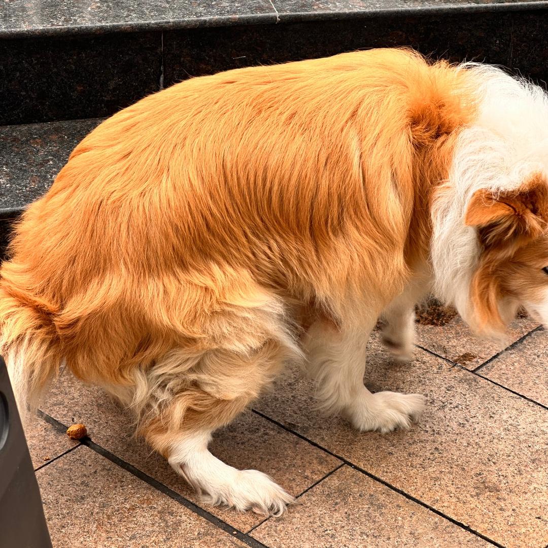 AAA建材批发王建国