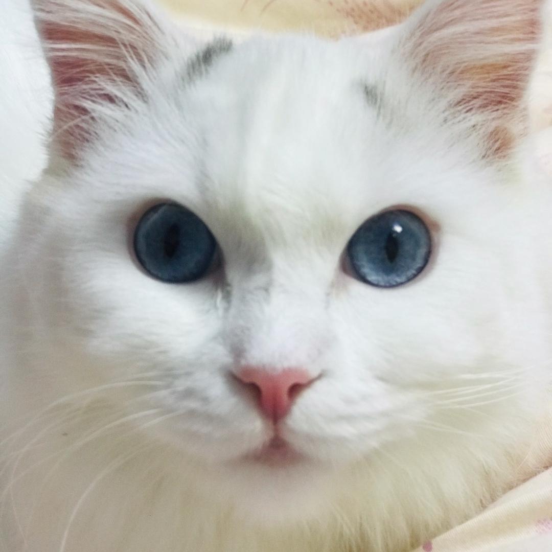 🎊一切随缘🎊 🐉⁰⁵.₂₆胡℘࿐