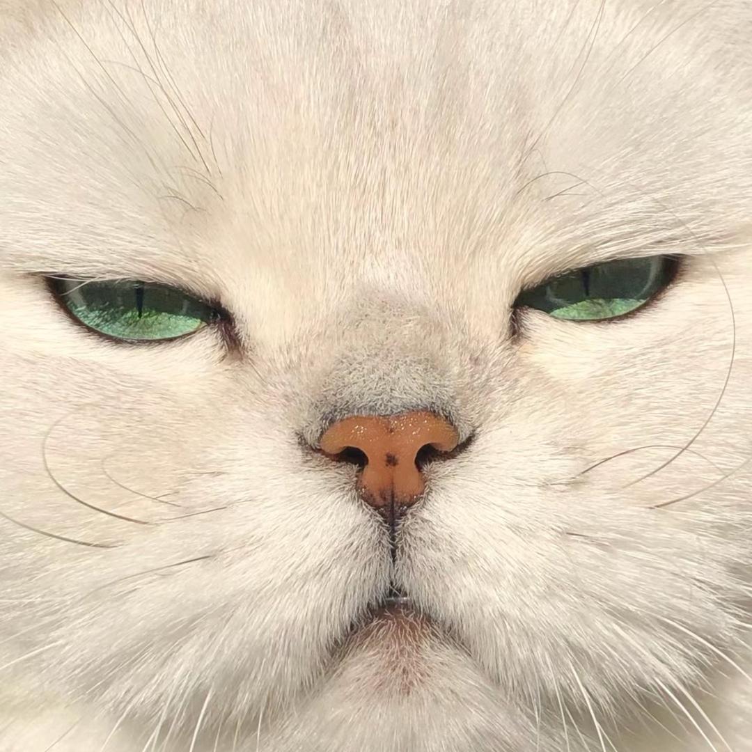 Sweetchilli