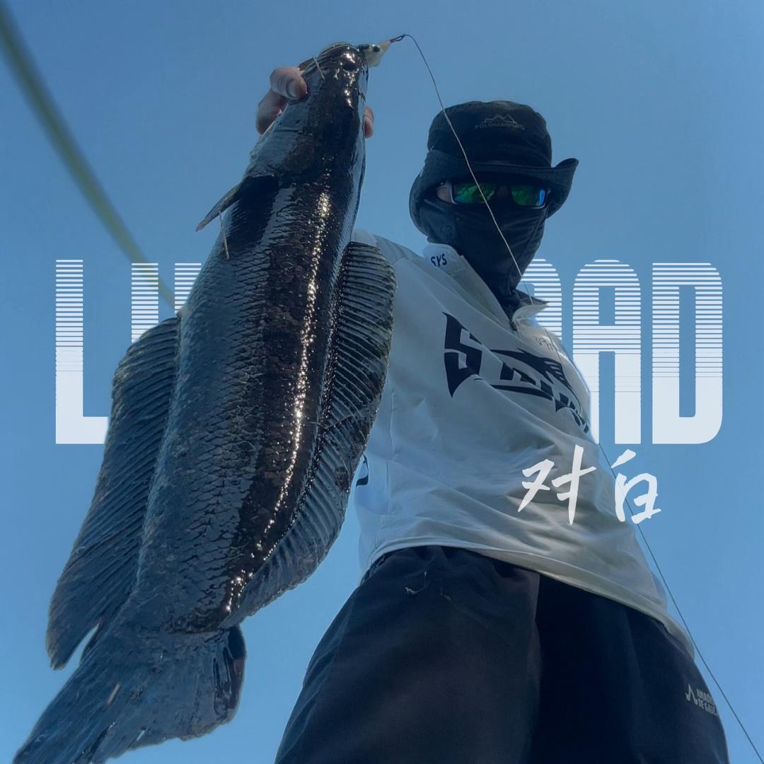 对白LURE