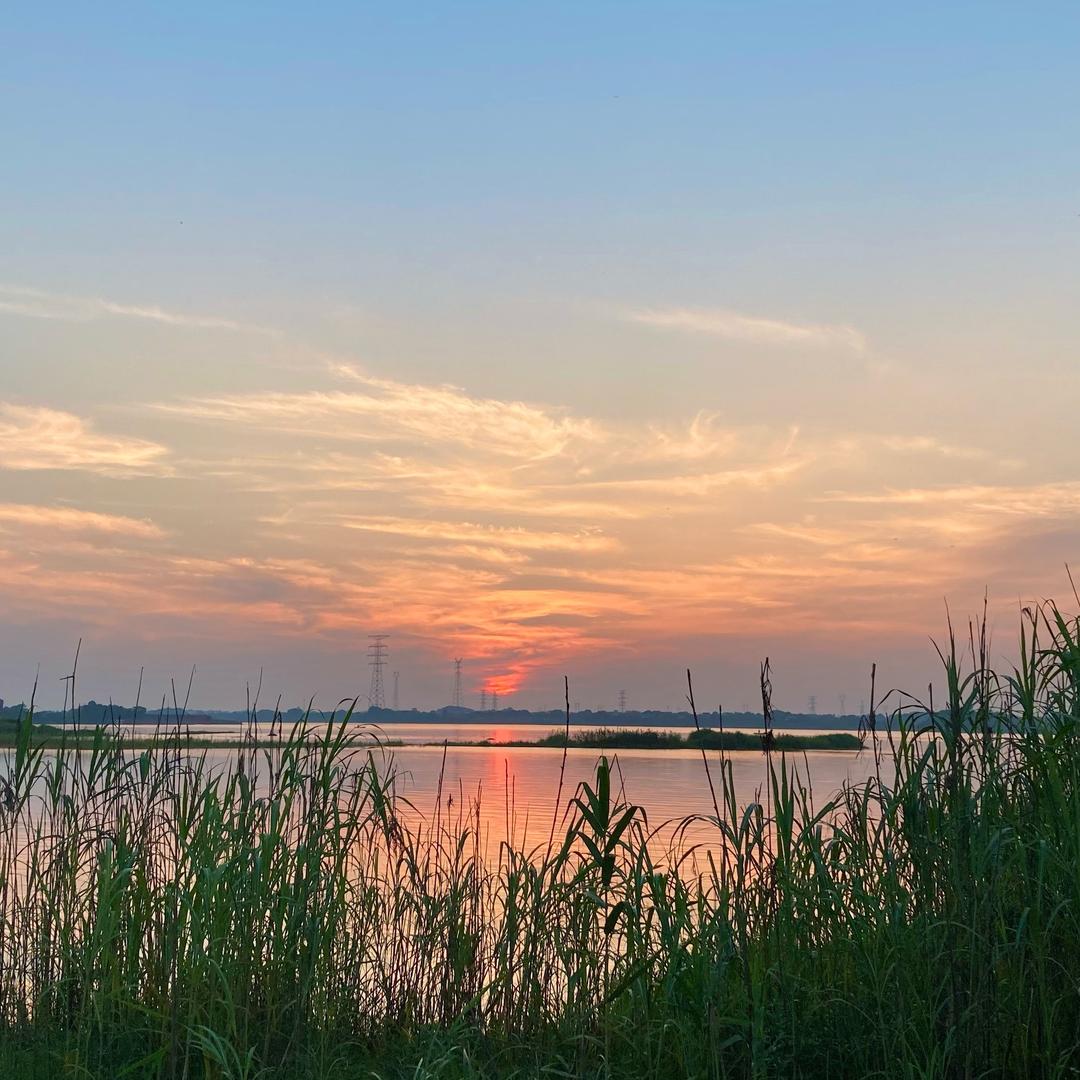 追云逐日天边星