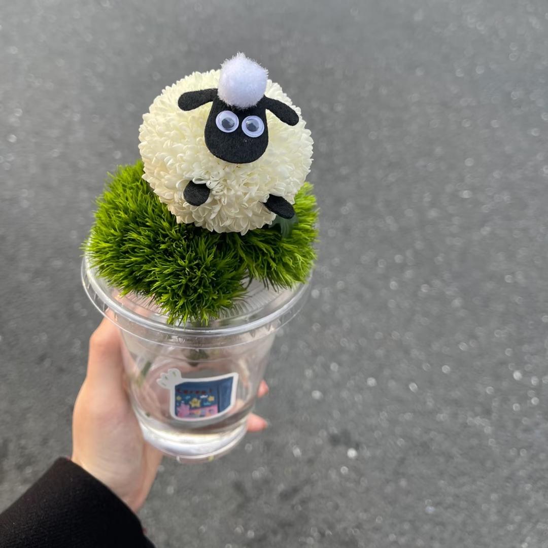 游泳研究院