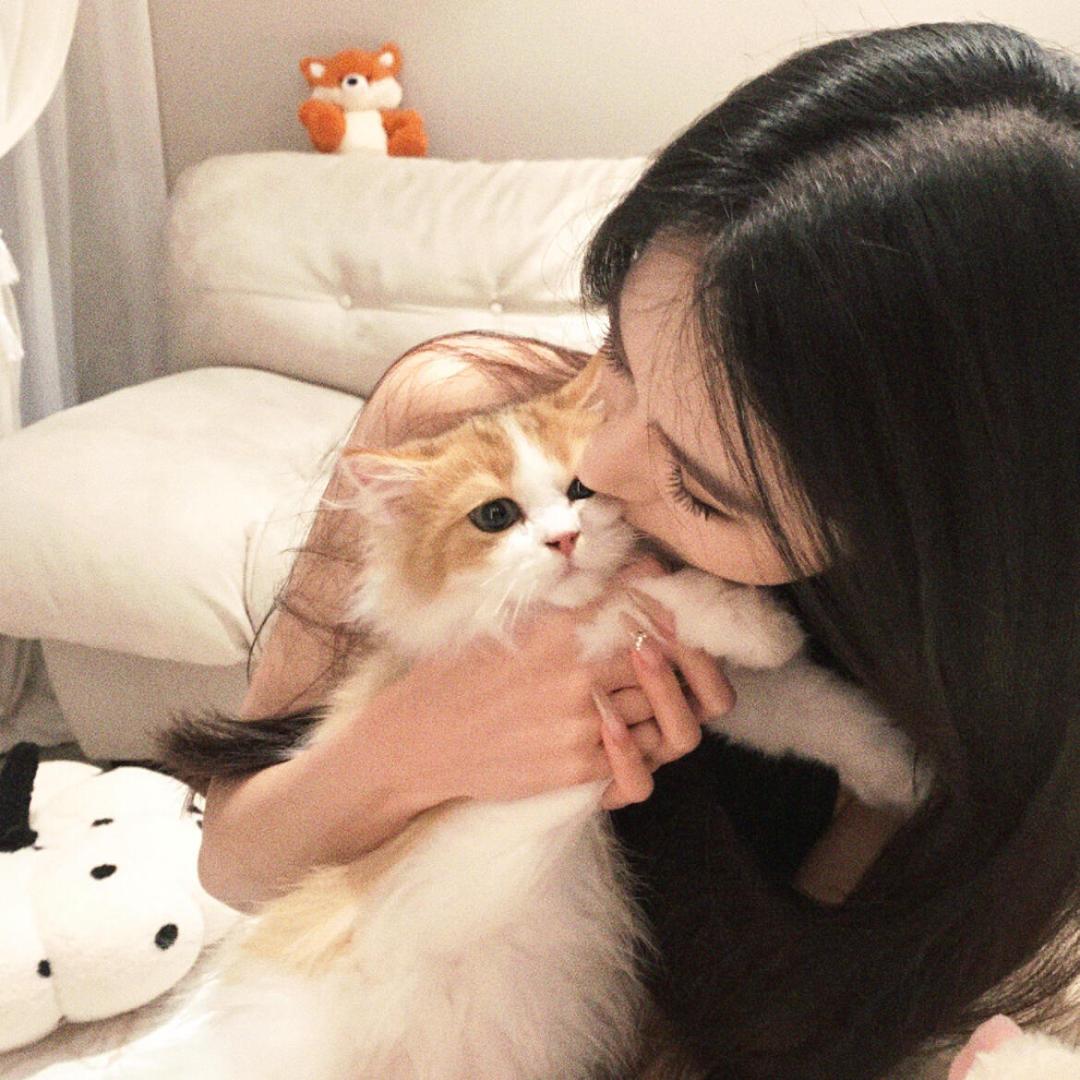 开速腾的小郭🦄