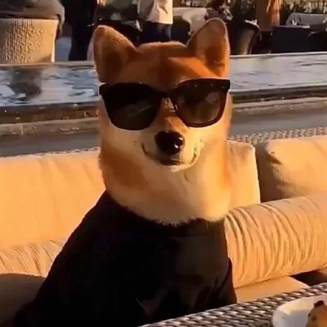 搞物理的李同学