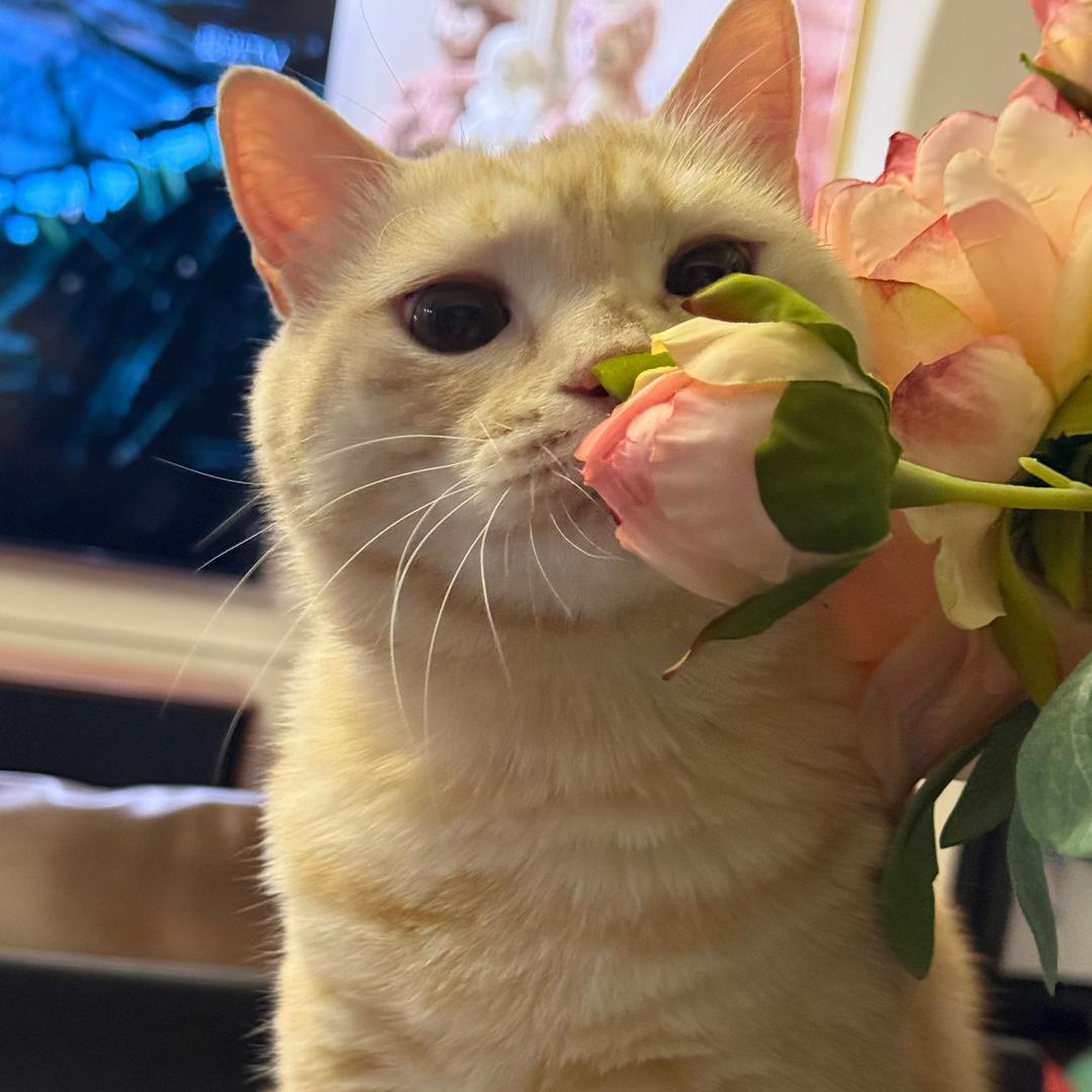 山西李予宁创始人