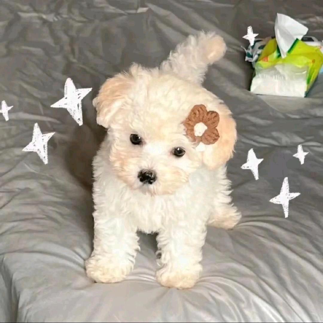 熠辈子都不楠🌾