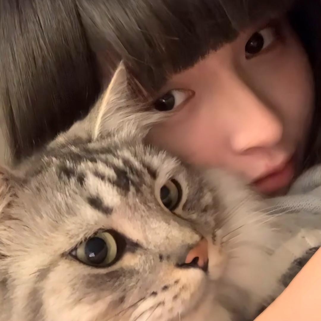 睡觉大王💤