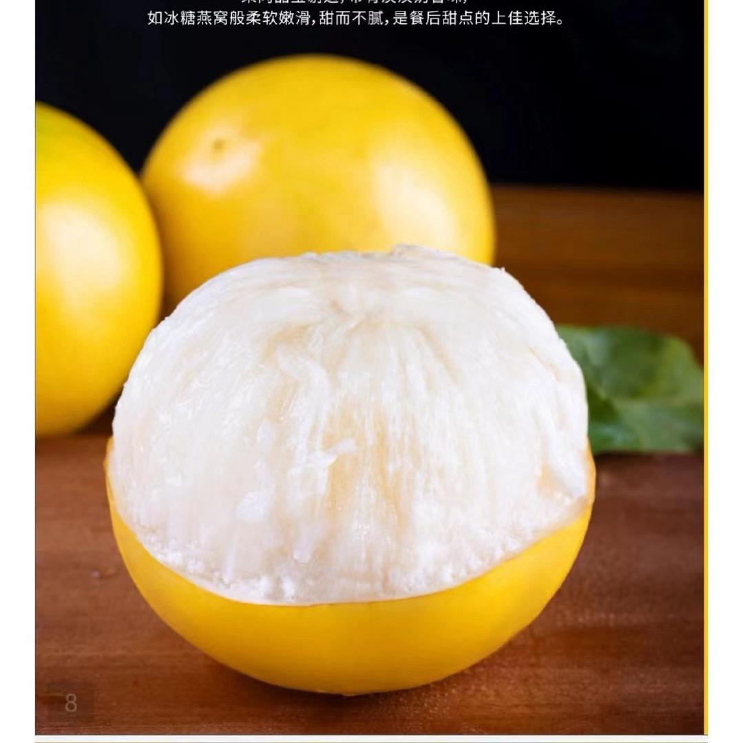 勐海龙记果业创意屋