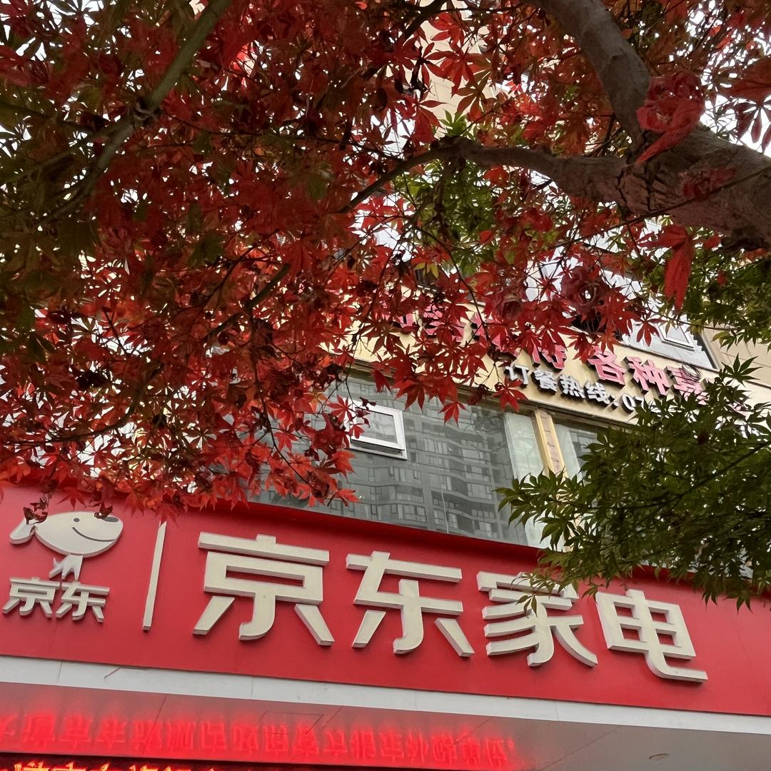 龙山县岚舟智能科技有限公司