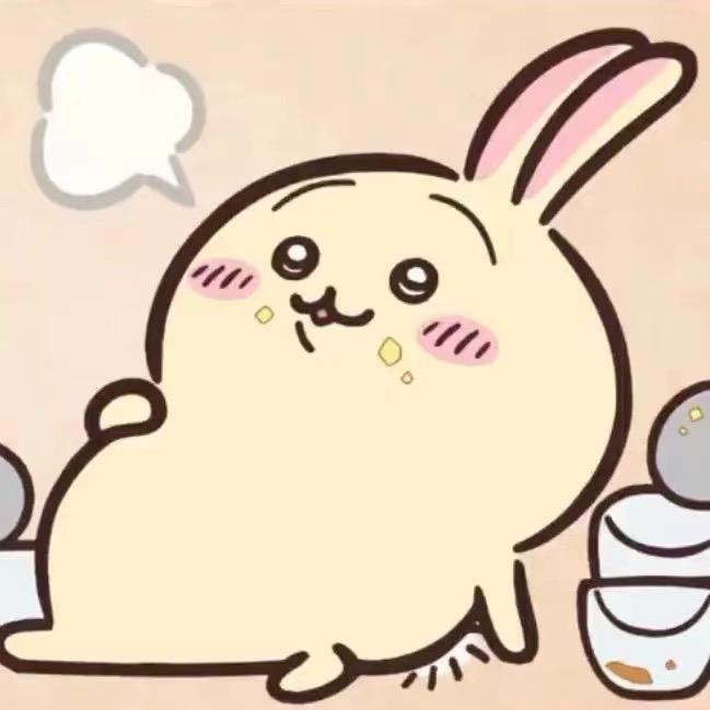 鸡腿lol🍗