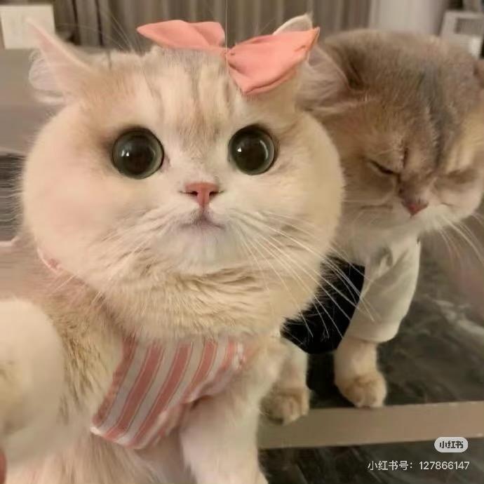 ᥫᩣ.𝙡̶𝙤̶̶̶𝙫̶̶̶𝙚