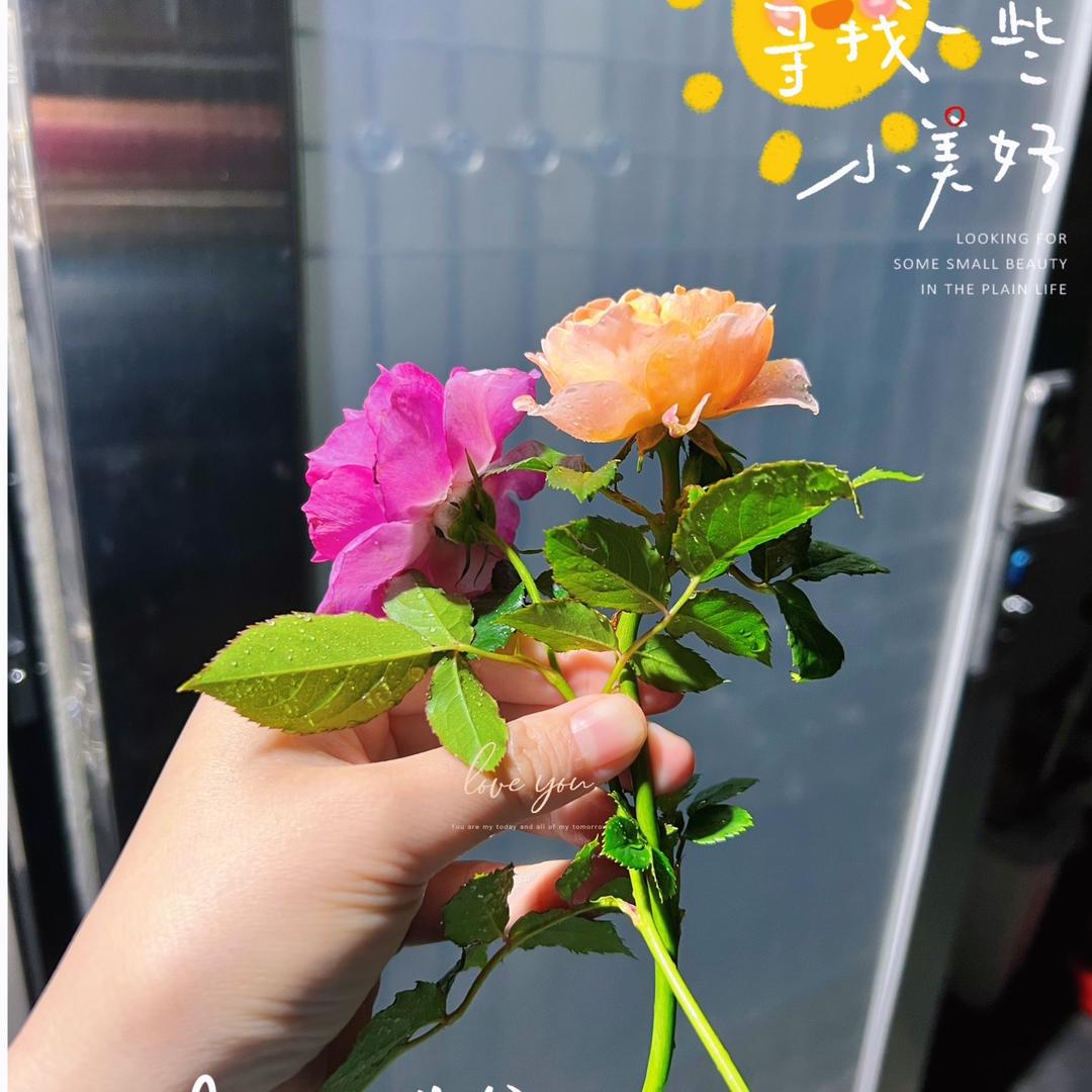 彤彤麻麻❤️