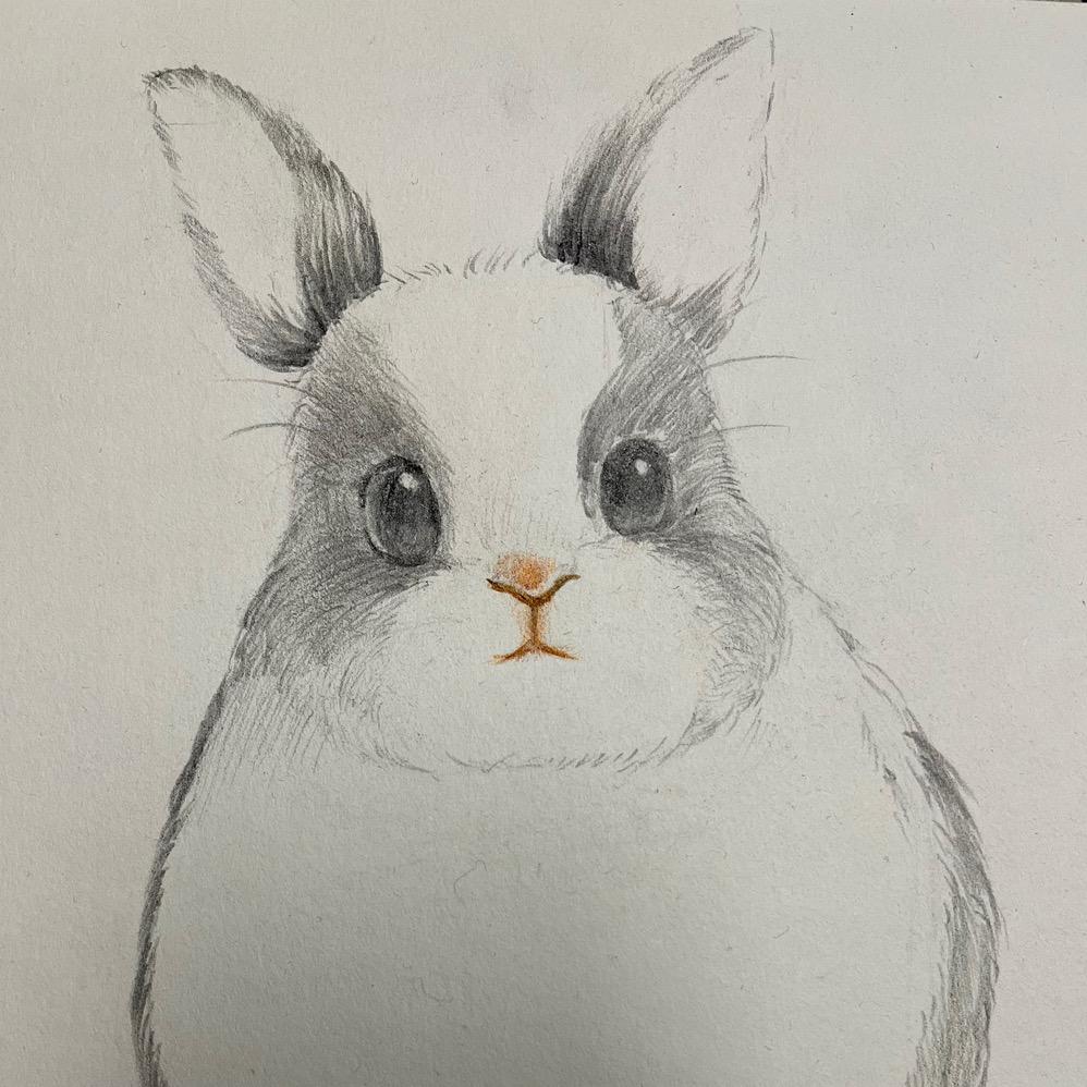 平度市展宇卫百货商行