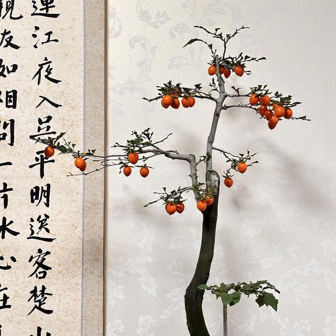茉莉小鸦