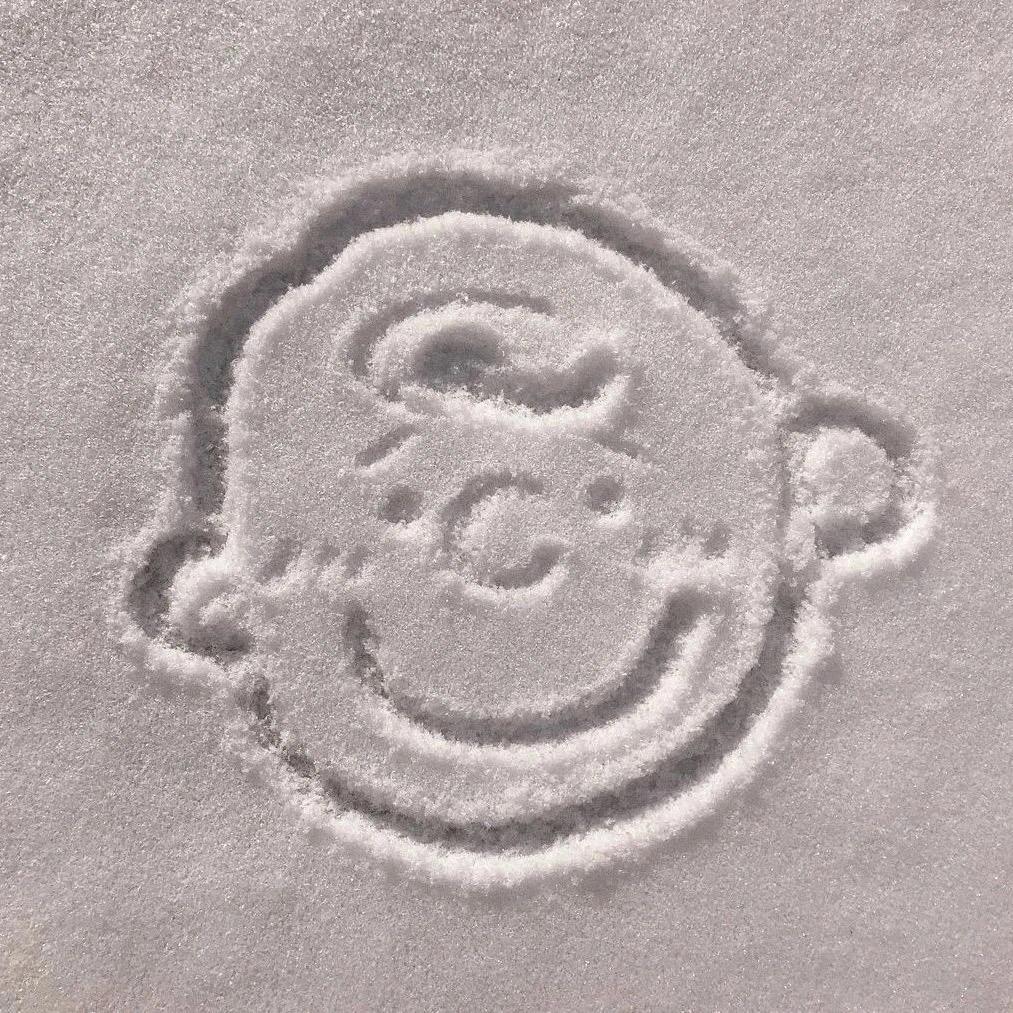 罗婕女士拜托了