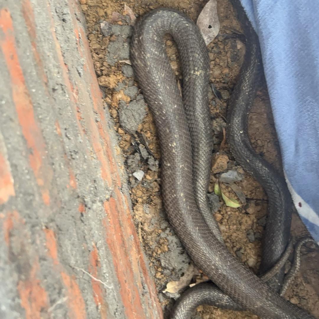 （点👉主页薇❤️）小仪