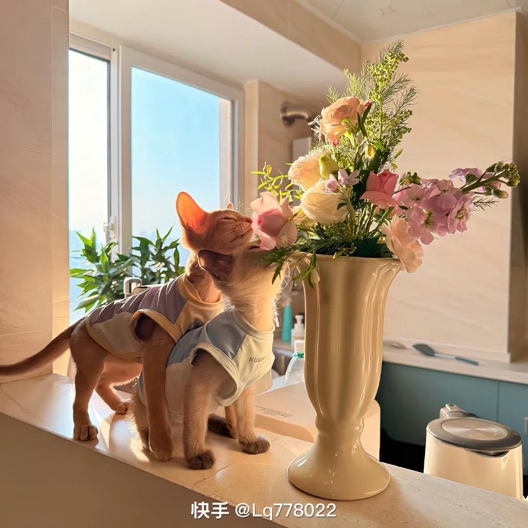钱钱ঞᐝ
