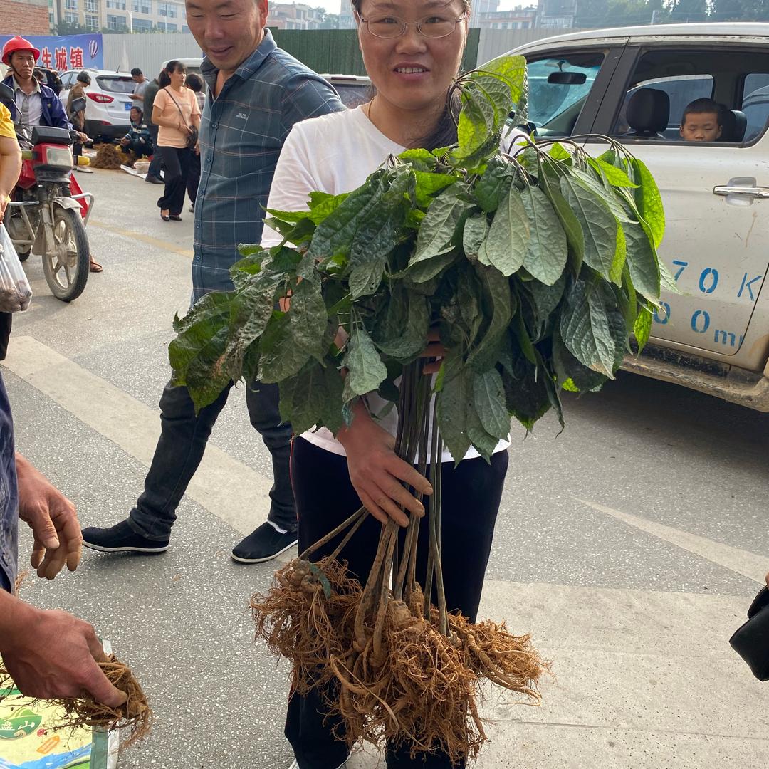云南土特产批发四季青二楼超市收银台正对面