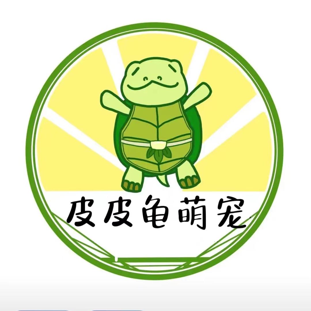 皮皮龟萌宠