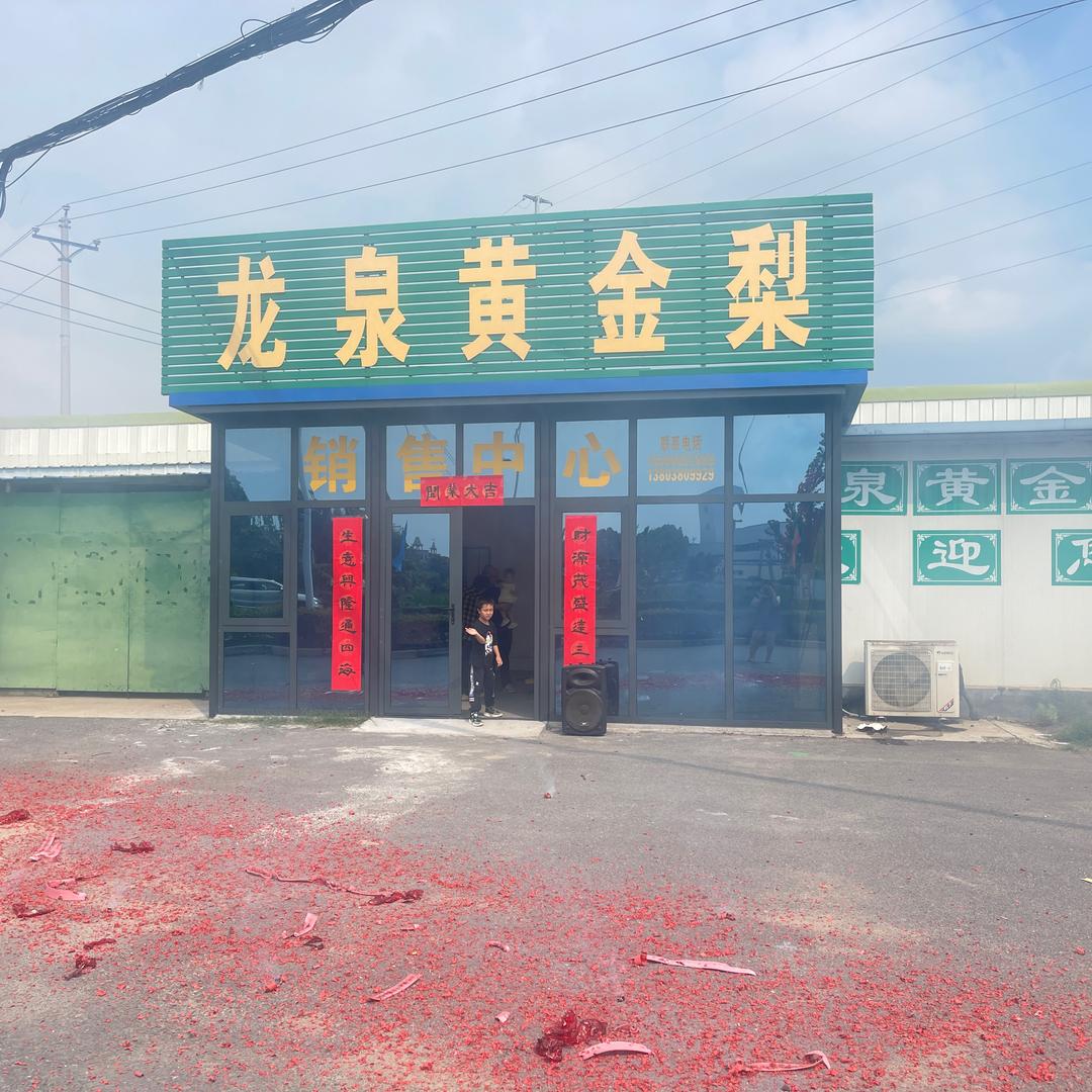龙泉黄金梨