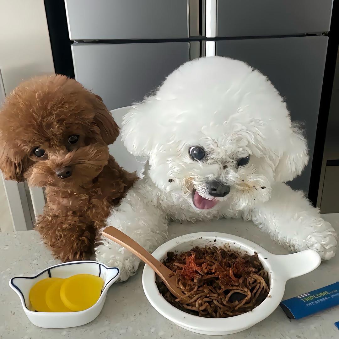 🌼᭄仙女Չᐝ࿐ᩚ