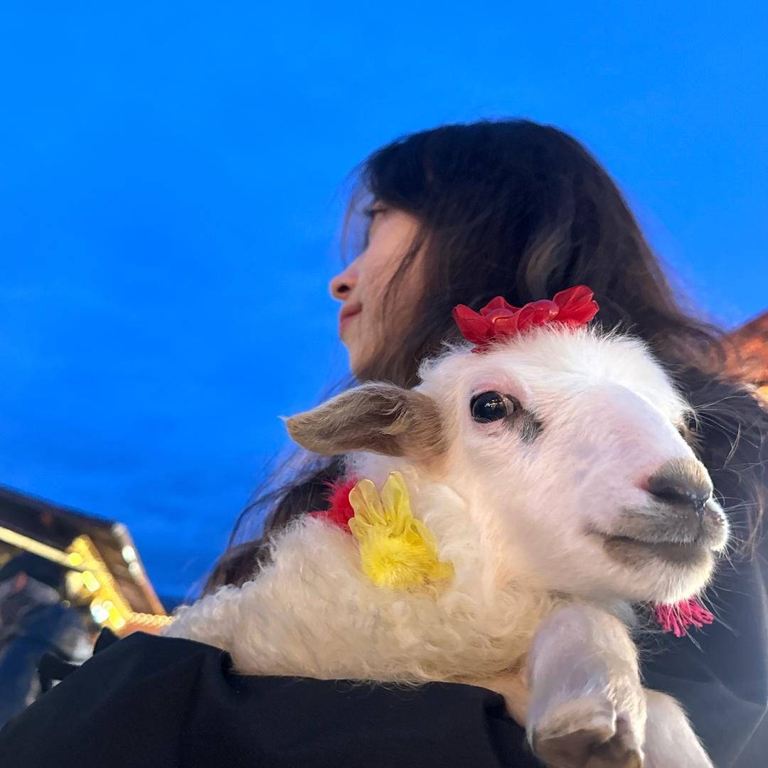 @幸会王某人