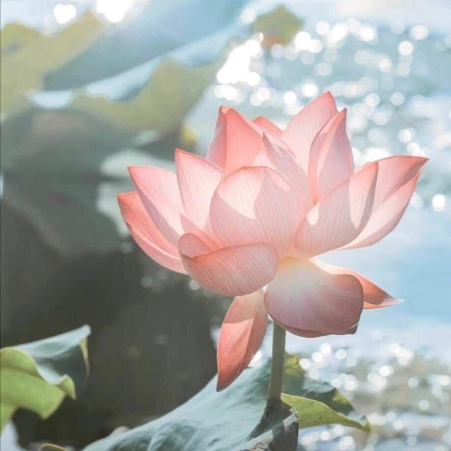 Zhu 慧俊