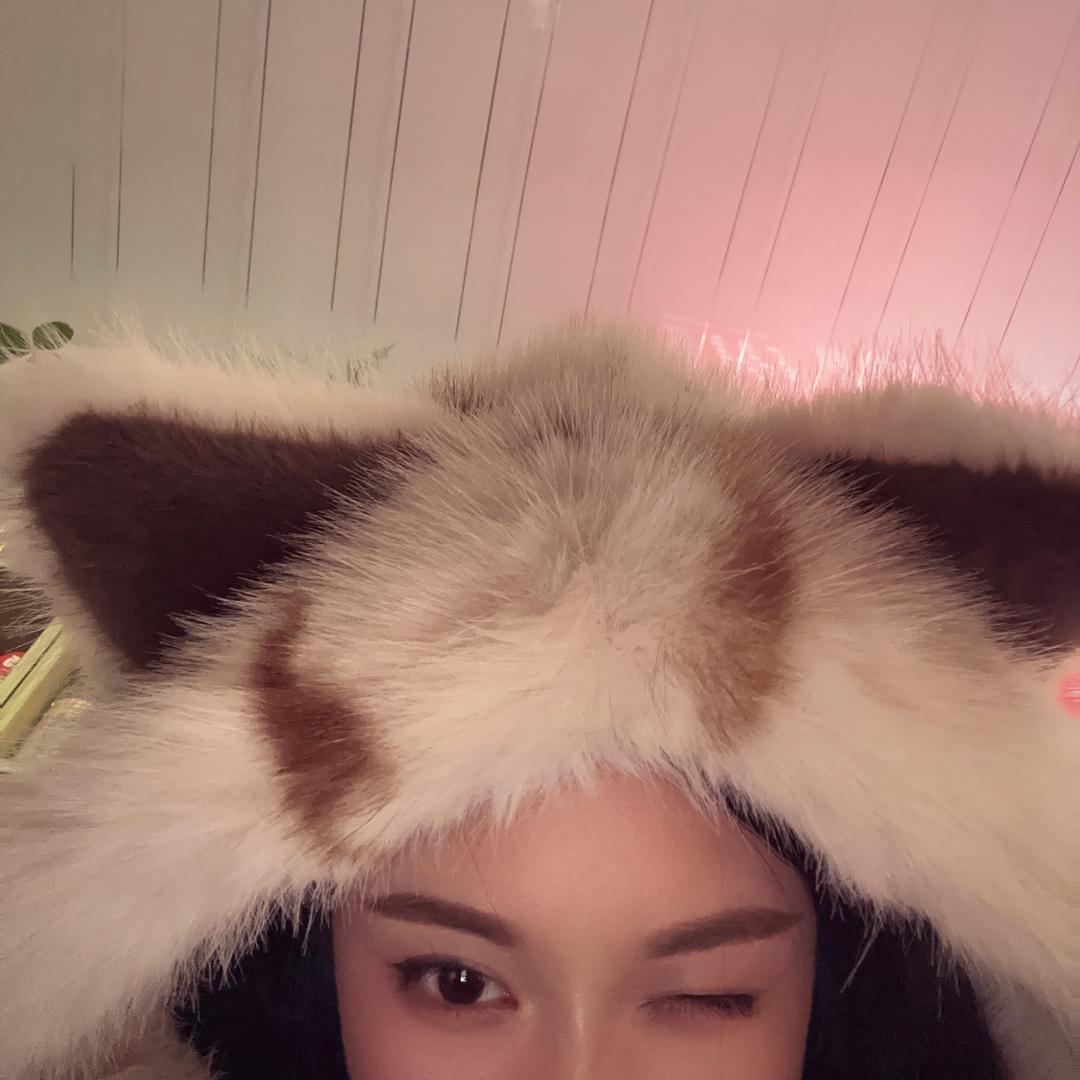 🕷️
