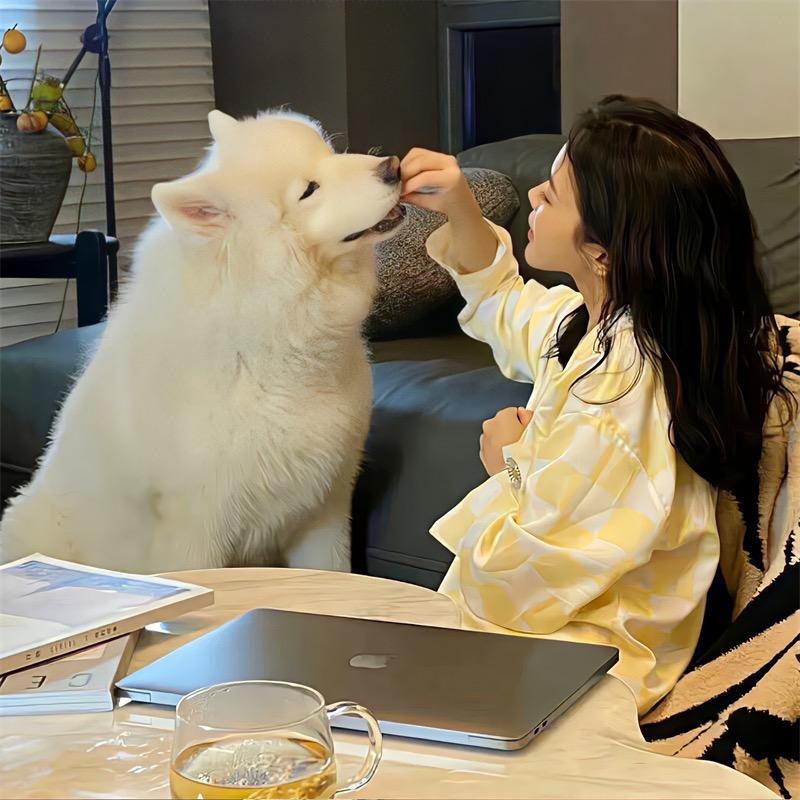 小九爱吃
