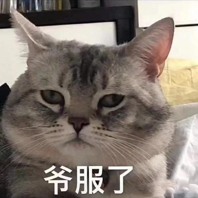 976