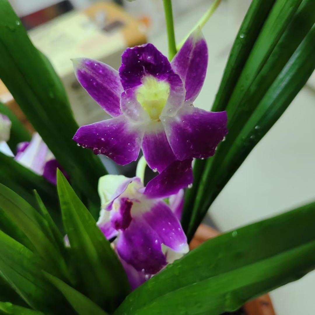 火爆女人心(拒绝连赞，谢谢！)