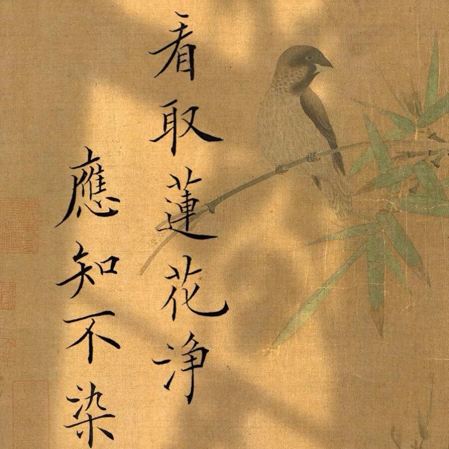 小小秋