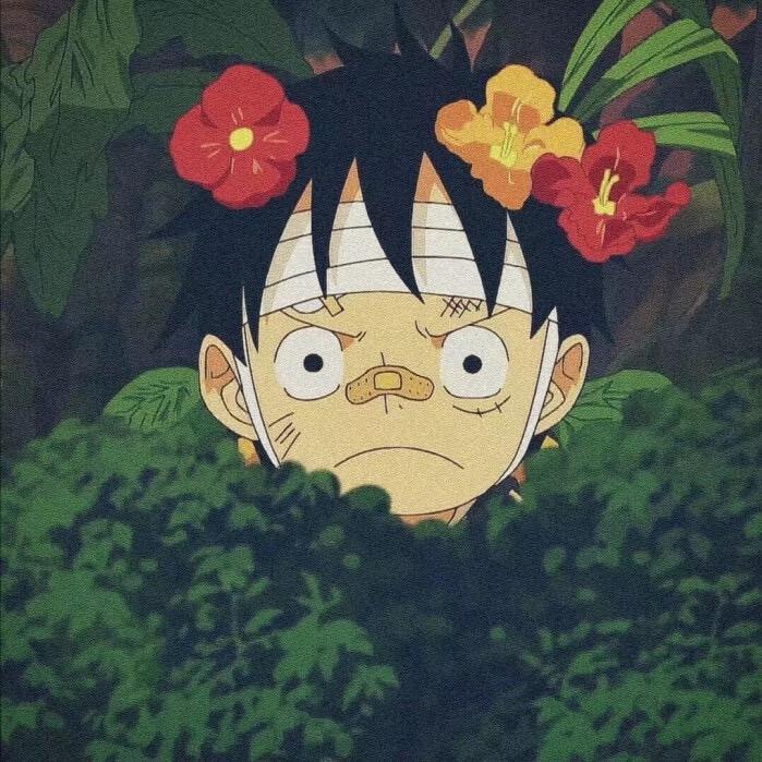 小肚爱草帽