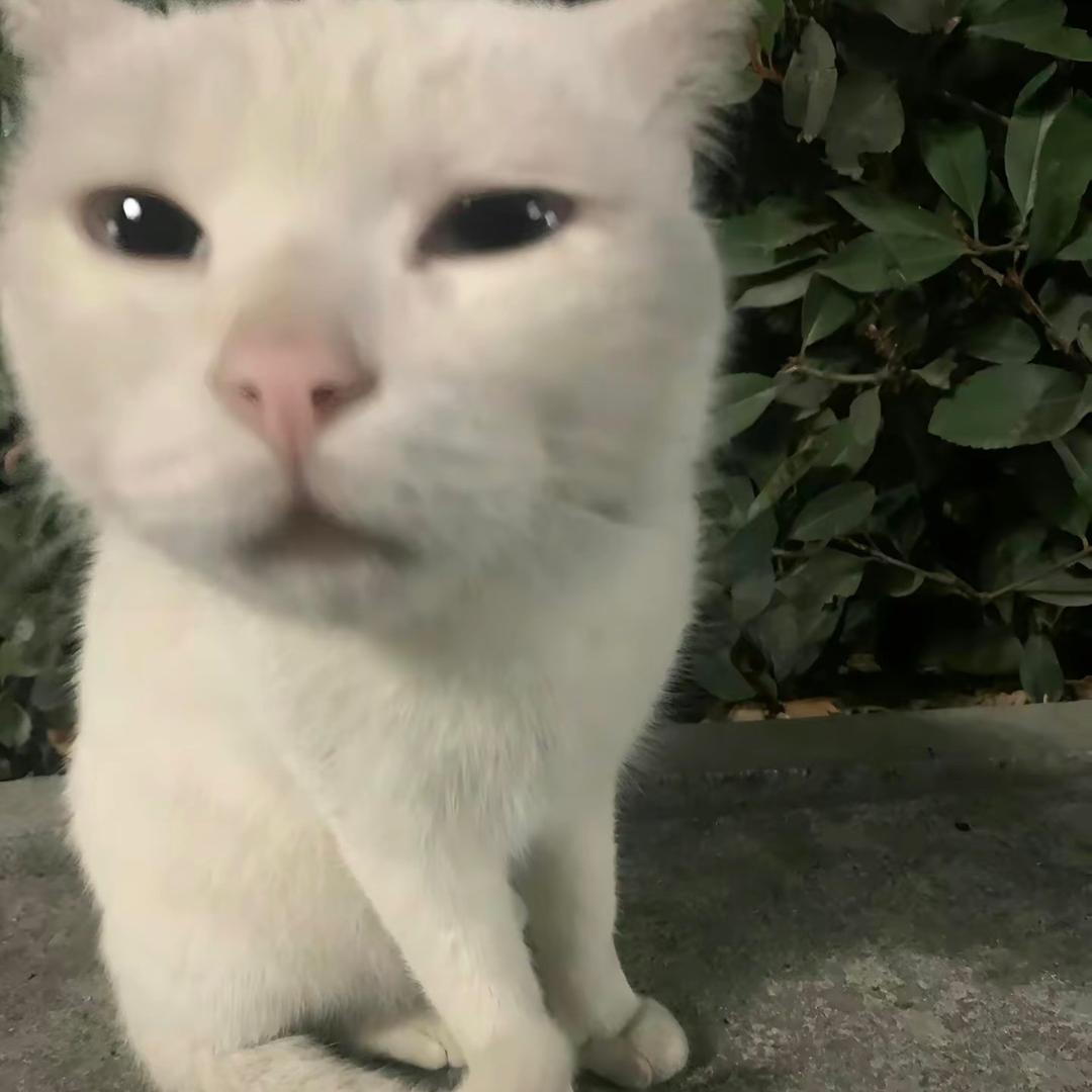 小螺狮