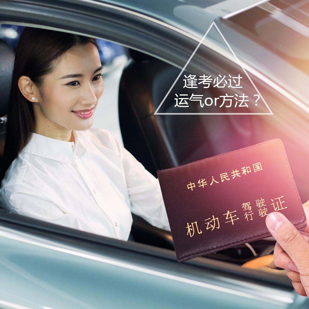 婷婷无忧咨询