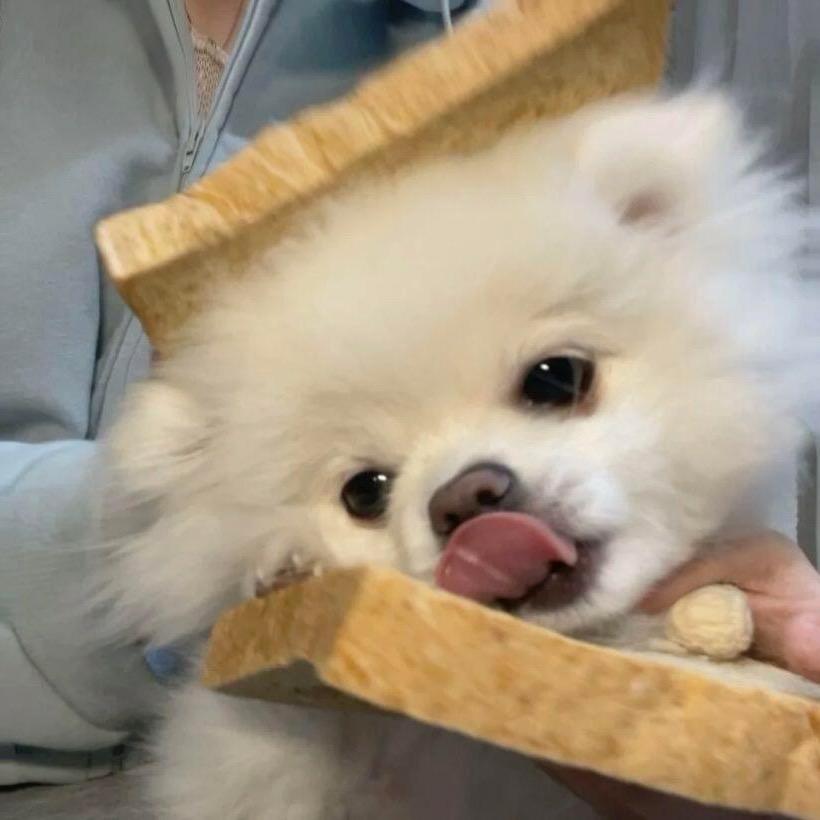 Yiiouy🧁ིྀ