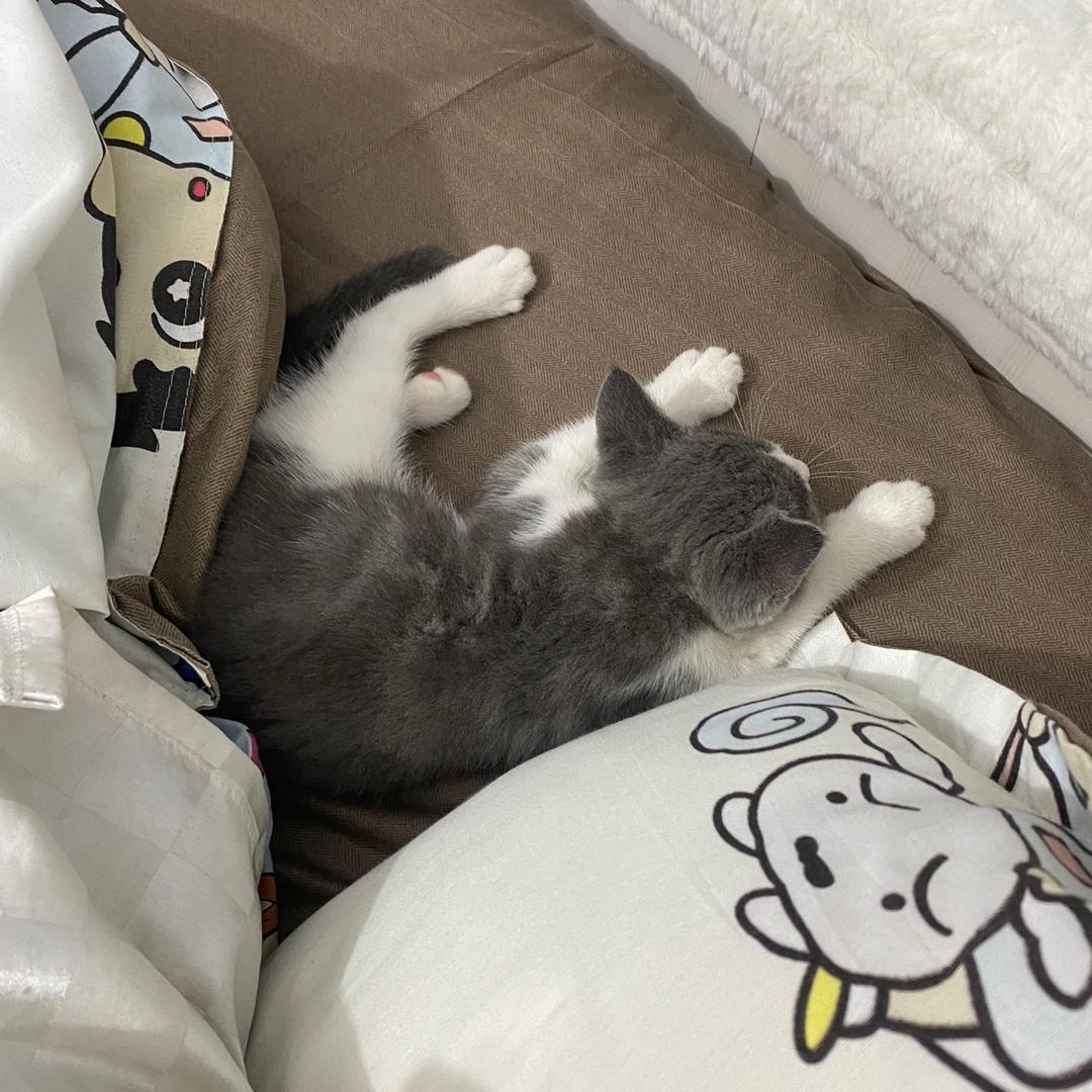 大侠🦸‍♀️