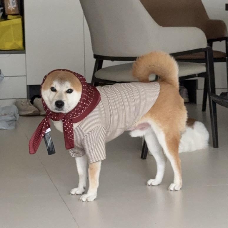 我要杯啤酒可以嗎