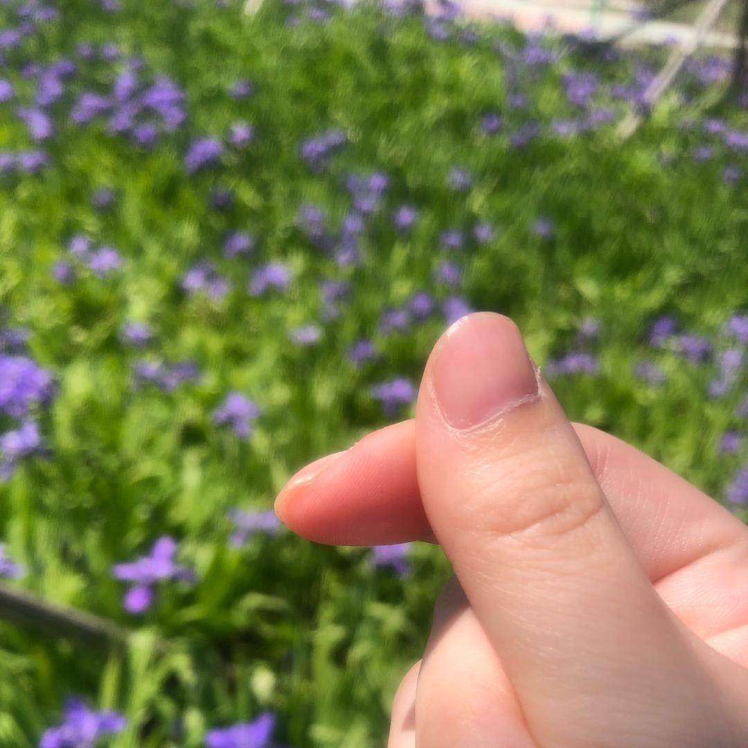 速燃体美