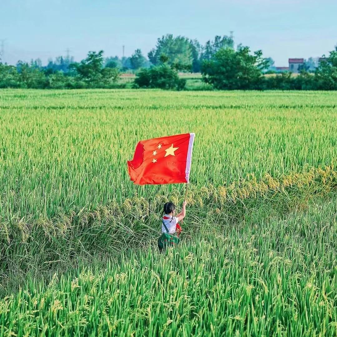 洛月之秋
