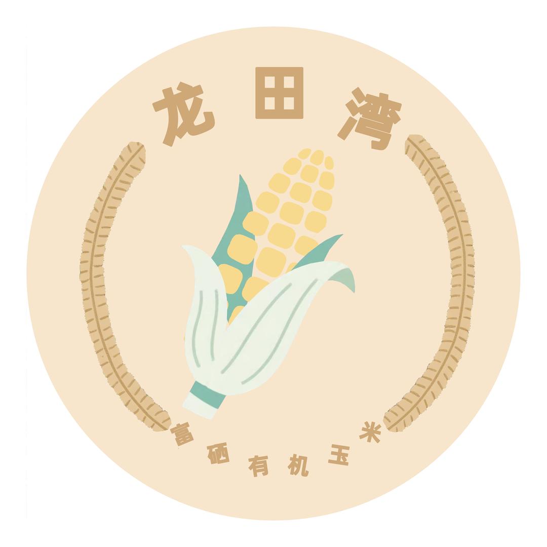 龙田湾有机玉米