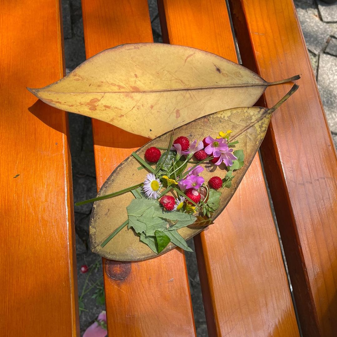 七色花🦋
