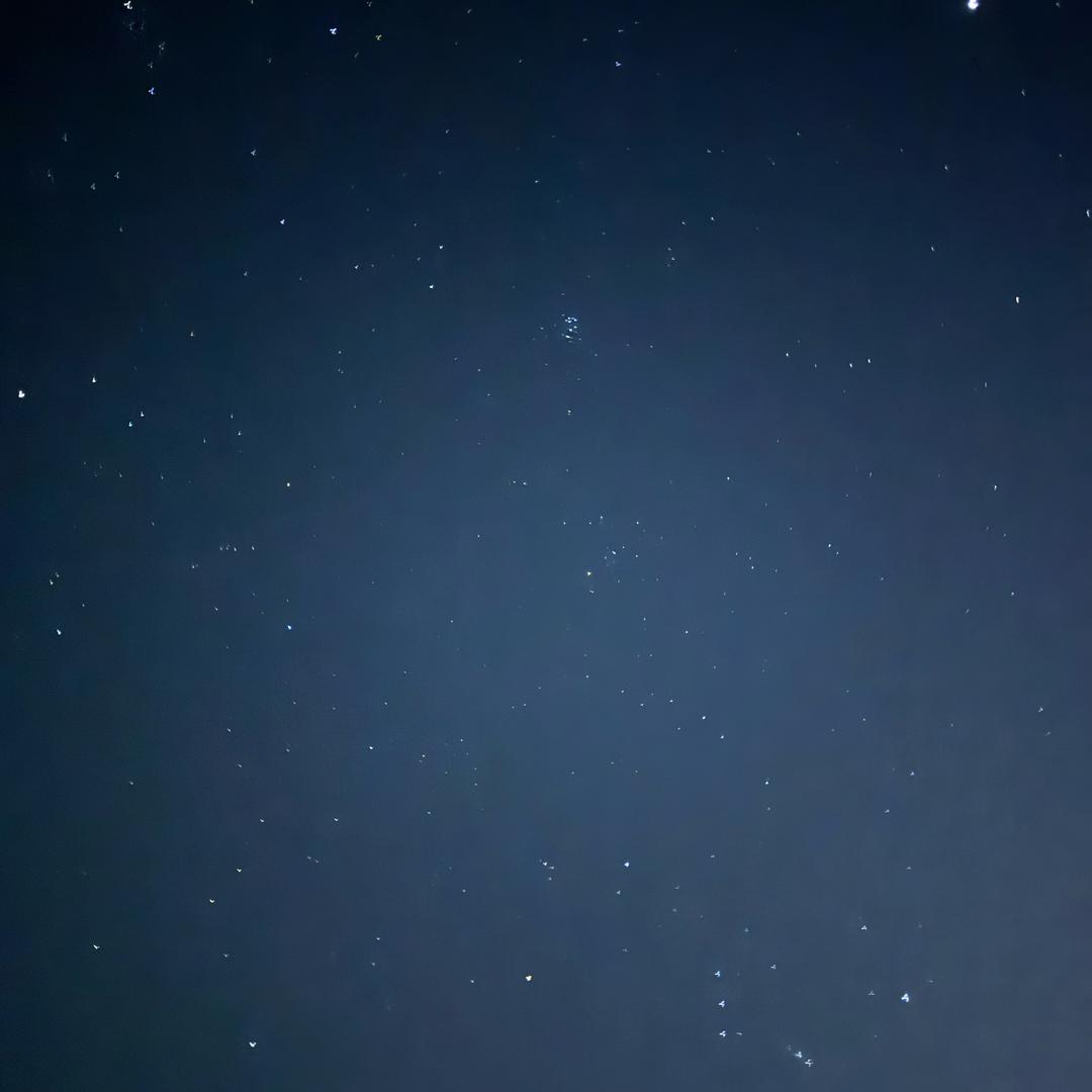 用户69633697741